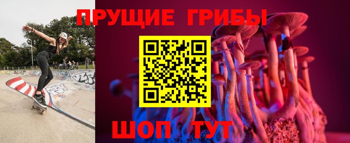 Псилоцибиновые грибы GOLDEN TEACHER  Вход с VPN  Кировск 